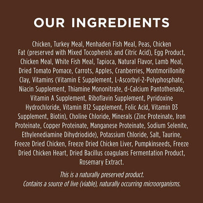 Grain Free Kitten Food, Original Kitten Recipe Natural Dry Cat Food or Wet Cat Food