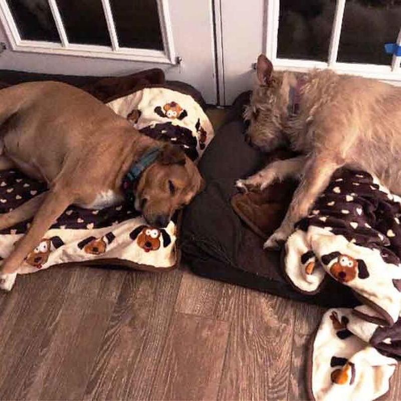 Snuggle Blanket for Pets